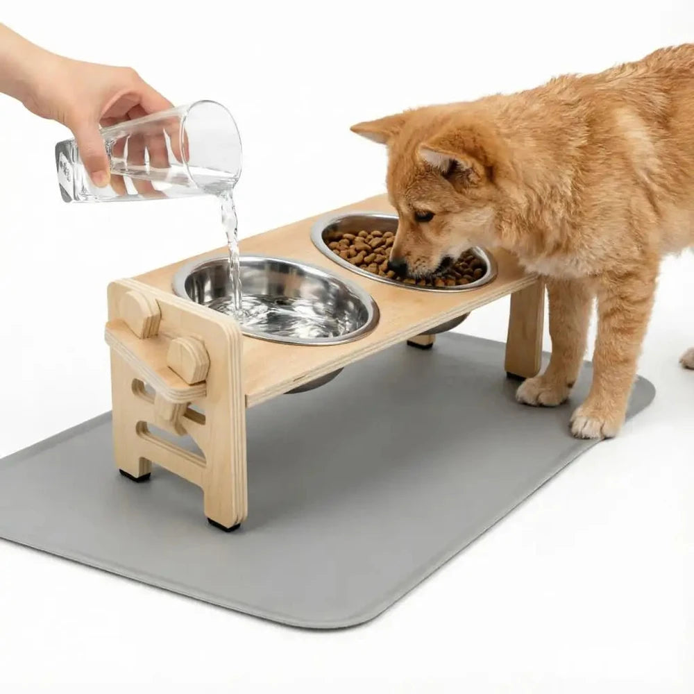 Comederos Elevados Inclinados. Ideal para mejorar la postura de tu mascota.