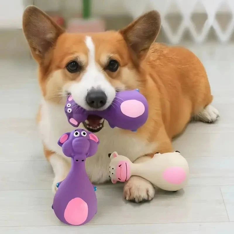Quietschende Hundespielzeuge aus Gummi