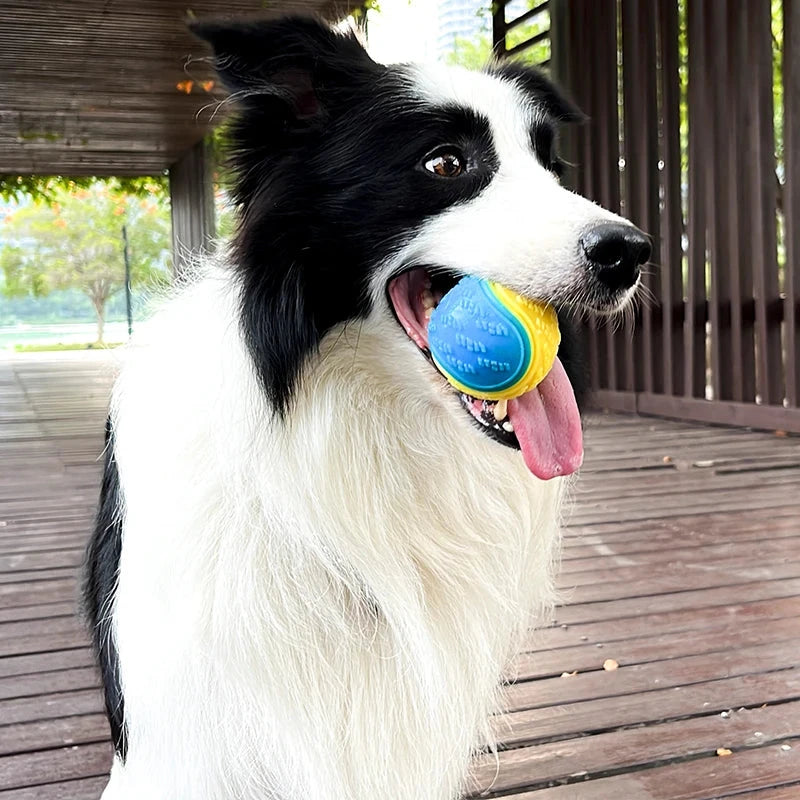 Pelota Chirriante Interactiva para perros
