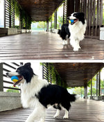 Interaktiver Quietschball für Hunde