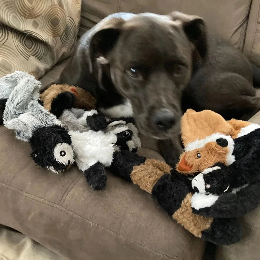 Juguete de peluche chirriante sin relleno para perro