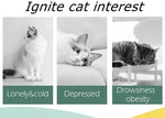 Interaktiver Frisbee-Werfer für Katzen