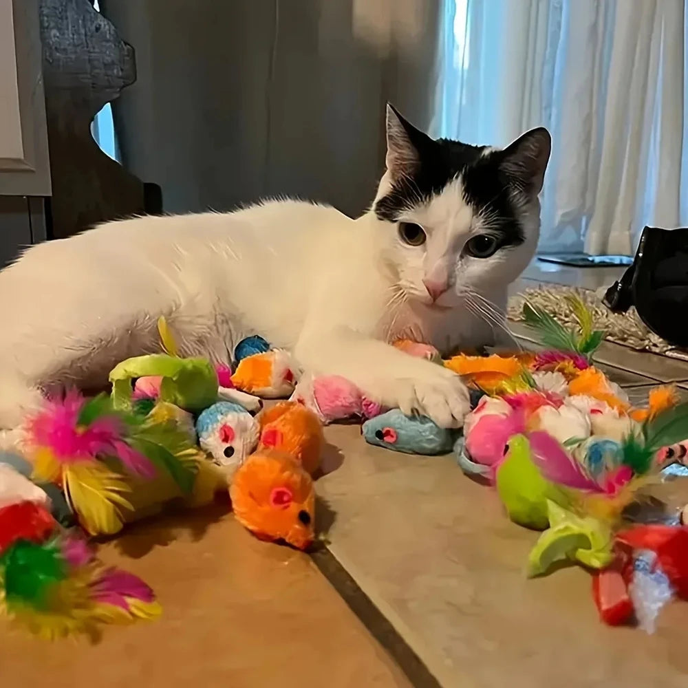 Pack de Juguetes Variados para Gatos