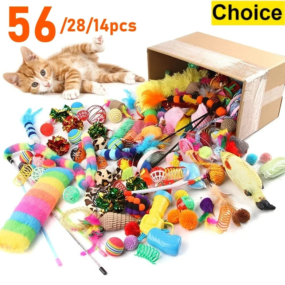 Pack de Juguetes Variados para Gatos