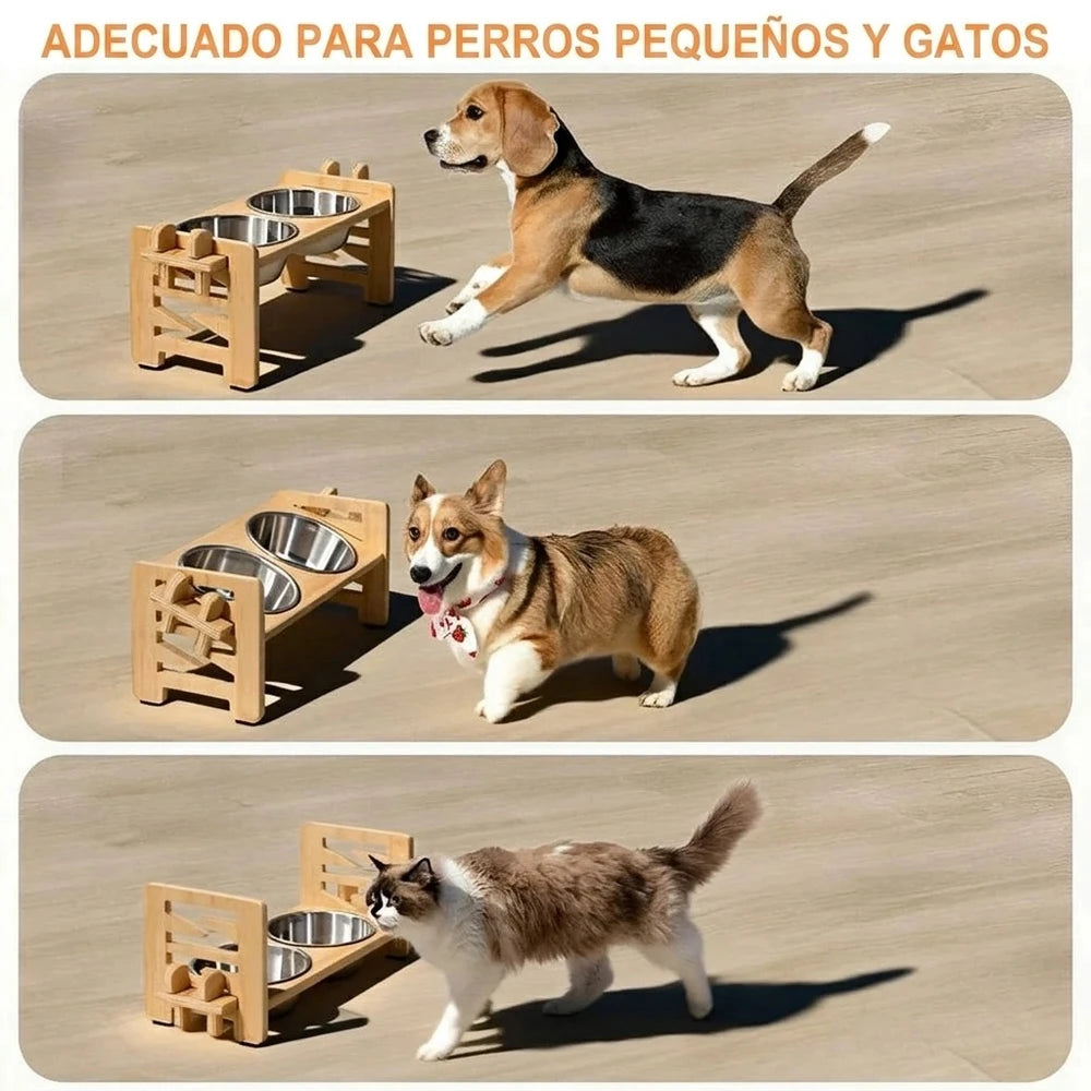 Comederos Elevados Inclinados. Ideal para mejorar la postura de tu mascota.