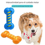 Interactive Chew Toy for Dogs