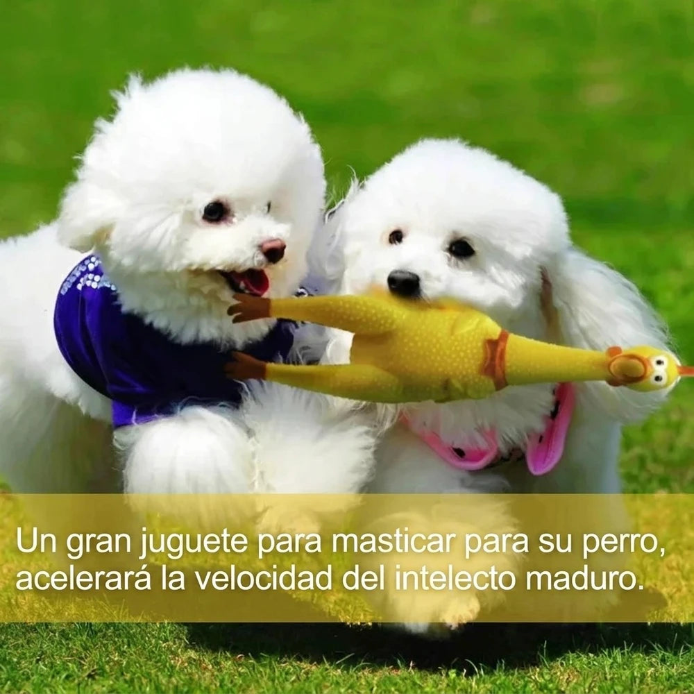 Juguete Pollo Chillón