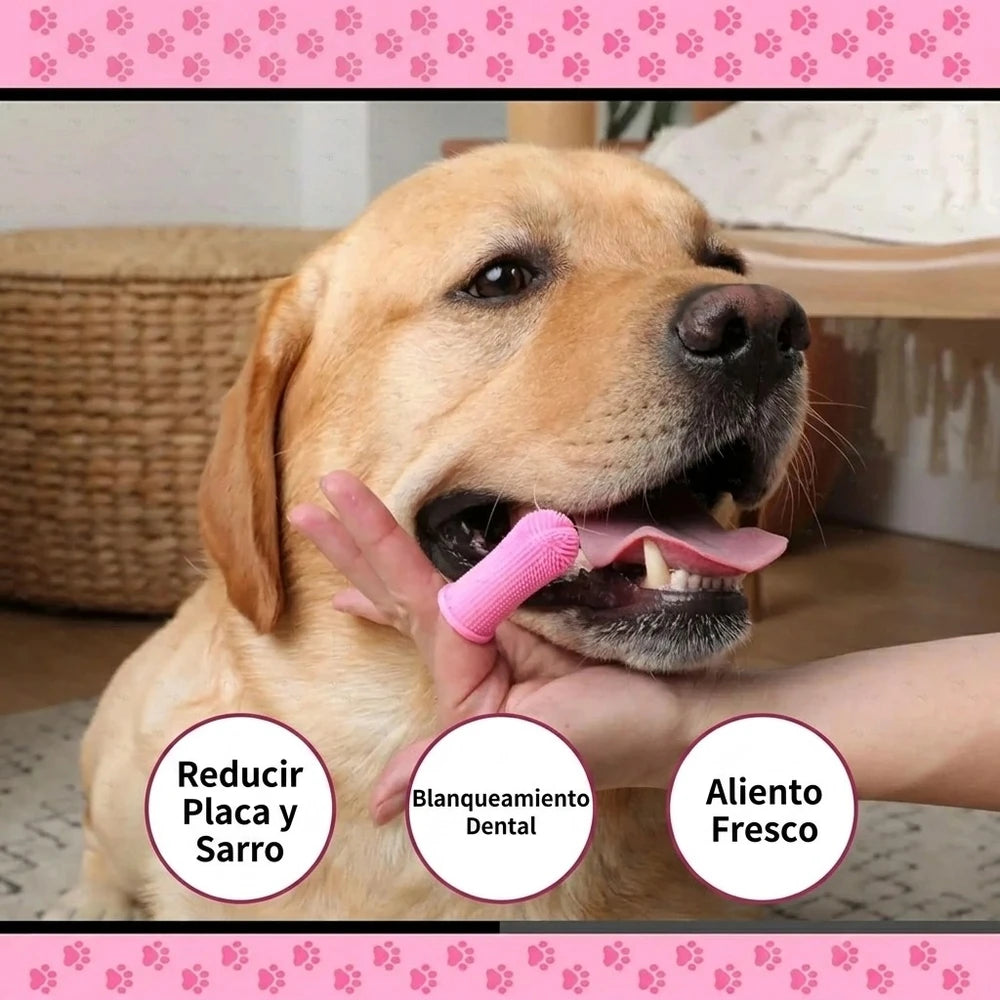 Cepillo dental ergonómico para perros