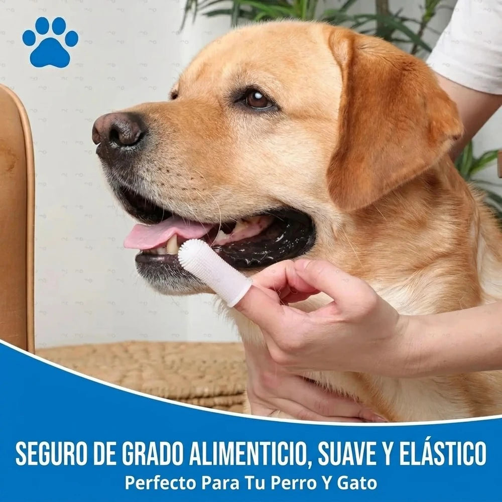 Cepillo dental ergonómico para perros