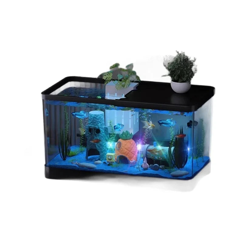 Acuario Ecológico de Escritorio con accesorios