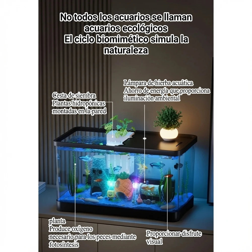 Acuario Ecológico de Escritorio con accesorios