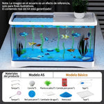 Acuario Ecológico de Escritorio con accesorios