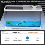 Acuario Ecológico de Escritorio con accesorios
