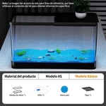 Acuario Ecológico de Escritorio con accesorios