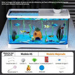 Acuario Ecológico de Escritorio con accesorios