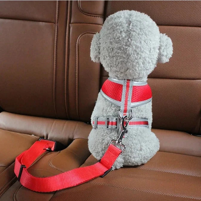 Arnés Ajustable con Cinturón de Seguridad para mascotas.