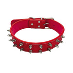 Halsband aus Leder mit Spikes für Hunde.