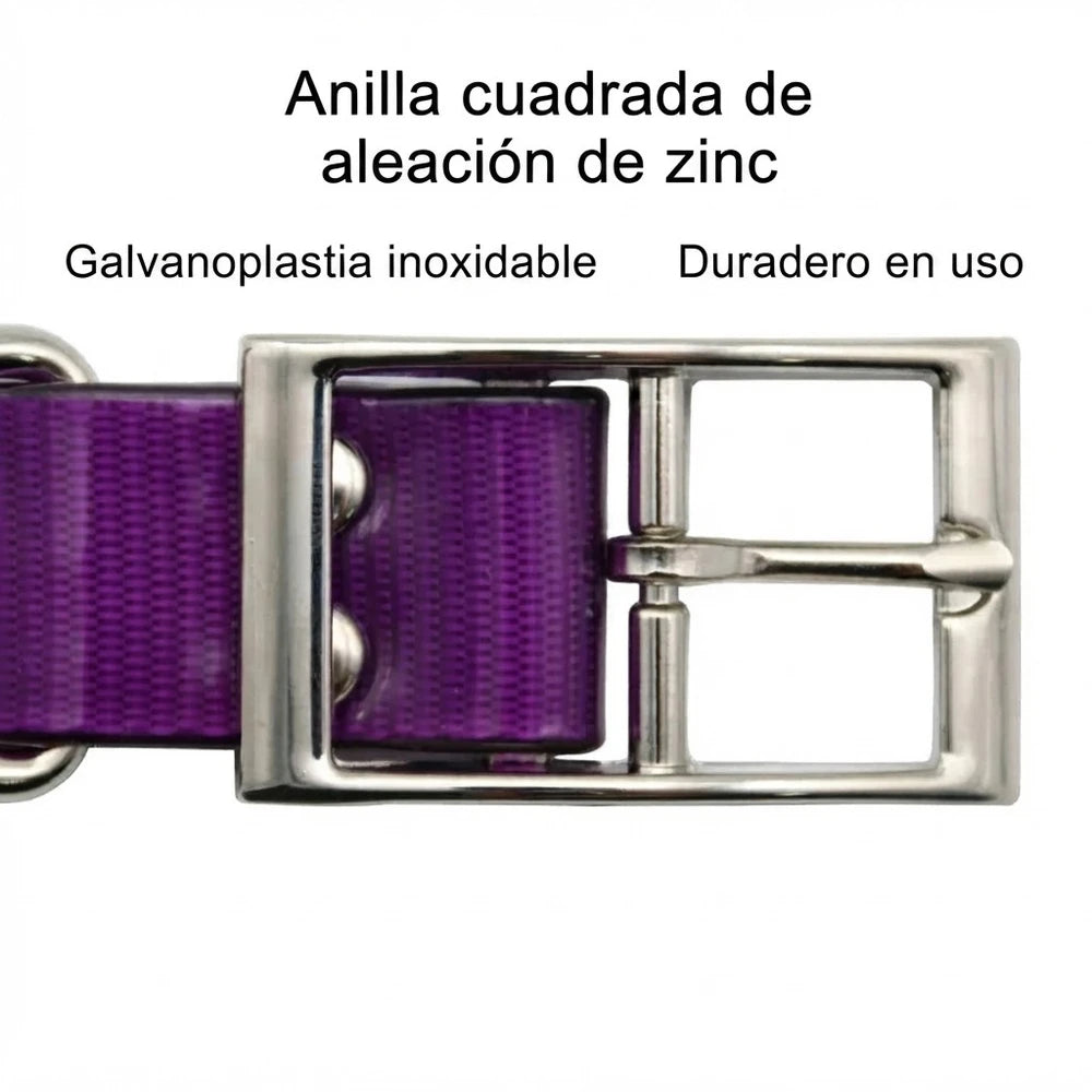 Collar Impermeable para Perros