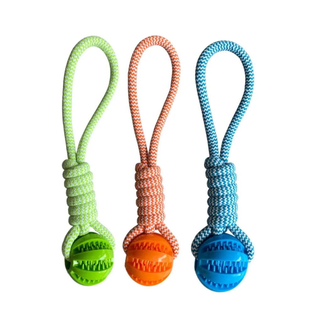 Pelota Dispensadora de Golosinas