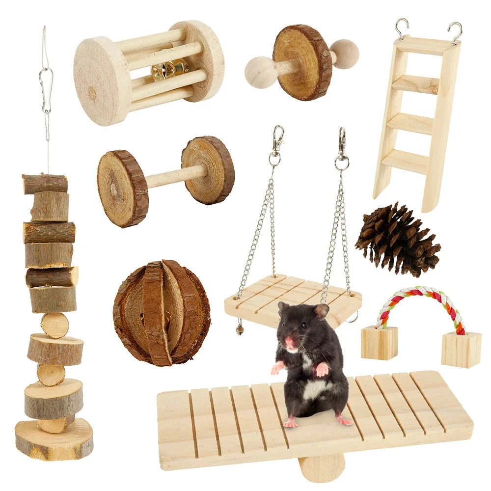 Pack de Juguetes Molares de Madera para roedores