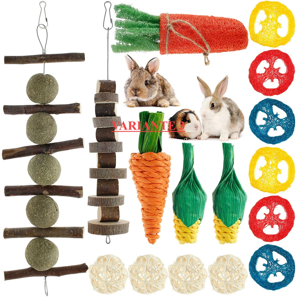 Pack de Juguetes Molares de Madera para roedores