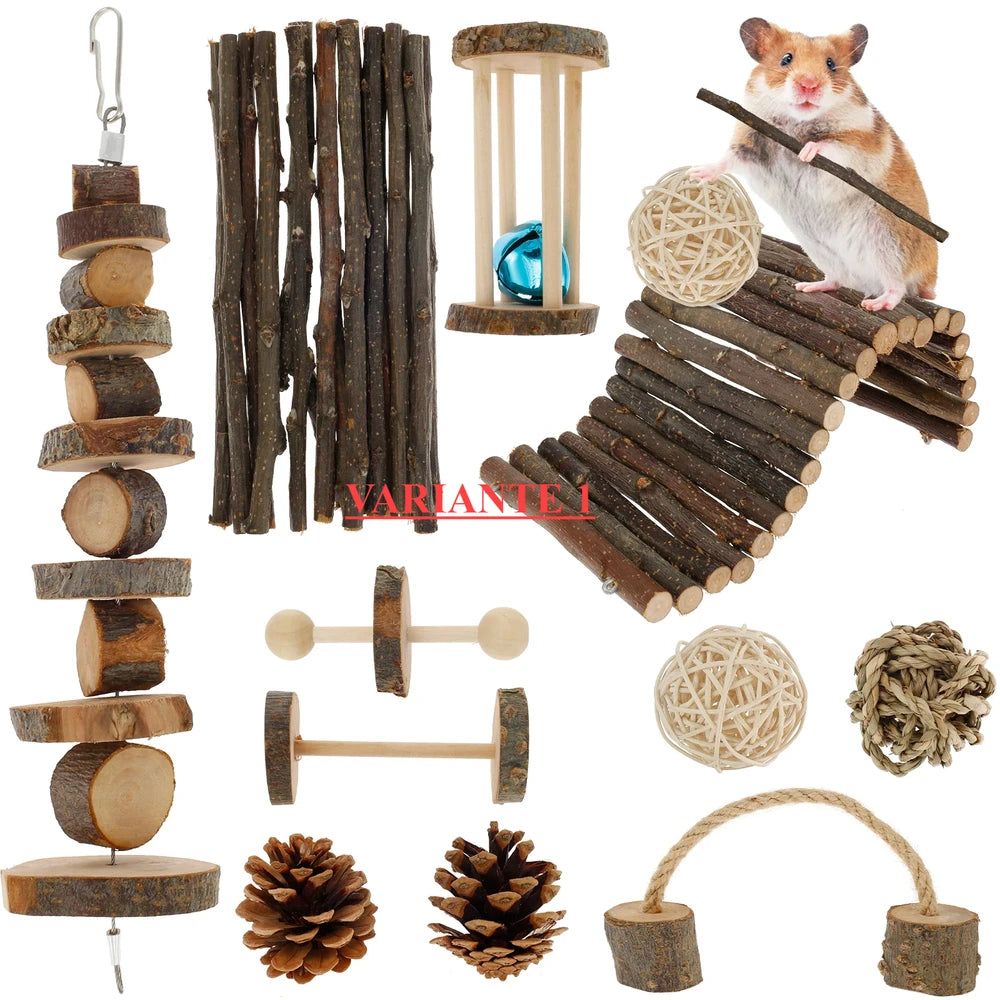 Pack de Juguetes Molares de Madera para roedores