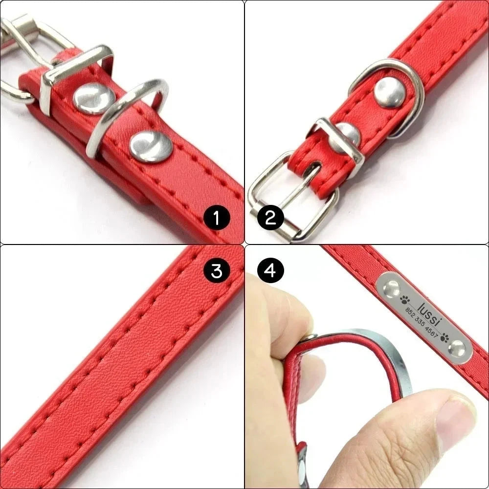 Collar de Perro Personalizado con placa anti pérdidas