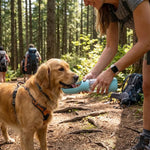 Botella de agua portátil 3x1 para  perros