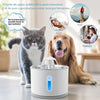 Fuente automática de Agua con luz LED